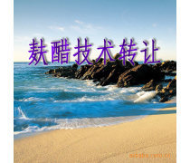 產(chǎn)品庫技術(shù)轉(zhuǎn)讓 優(yōu)勢(shì)、要點(diǎn)與實(shí)施策略